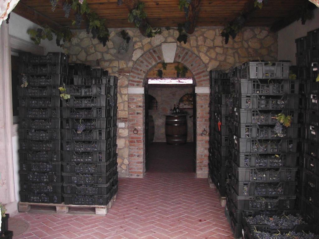 B&B Al Cristo SantʼAmbrogio di Valpolicella Kültér fotó