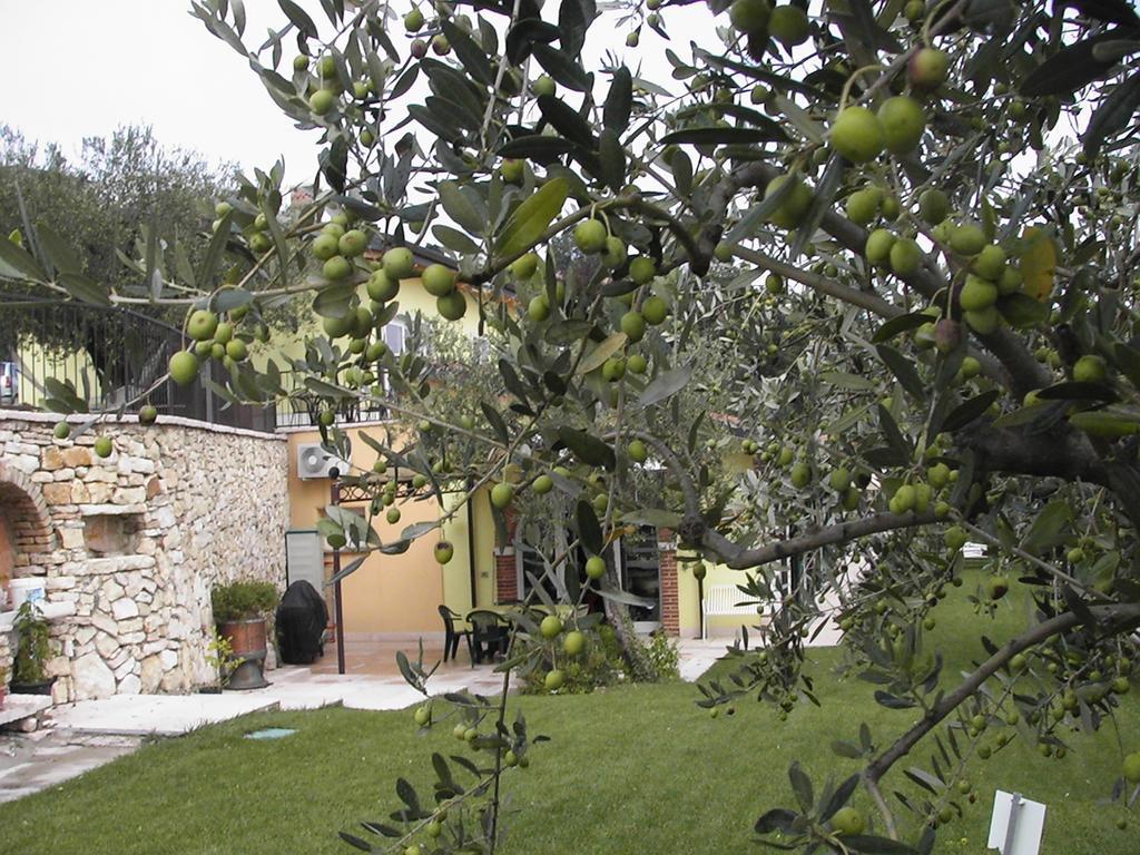 B&B Al Cristo SantʼAmbrogio di Valpolicella Kültér fotó
